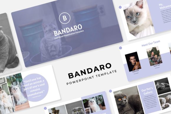 Bandaro Power Point Template