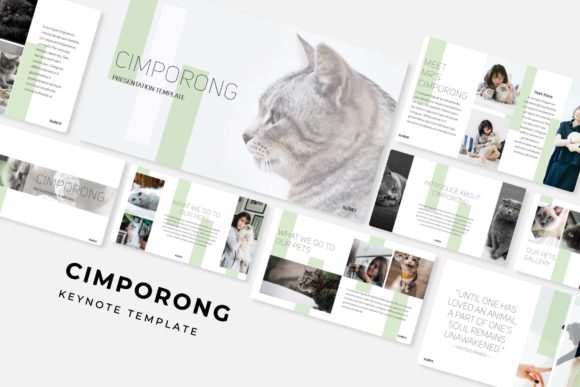 Cimporong Keynote Template: A Powerful Design Solution